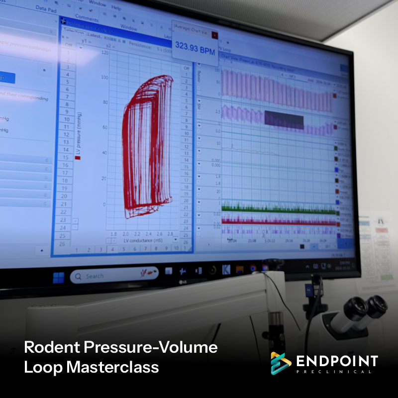 Rodent Pressure Volume Loop Data