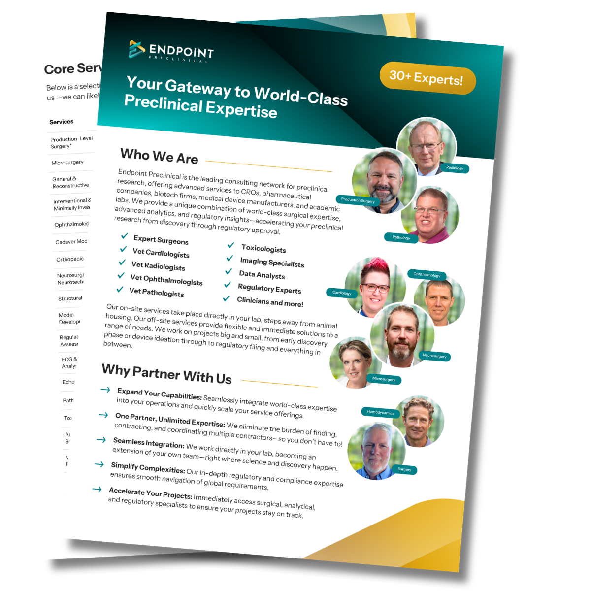 Endpoint Preclinical Digital Materials