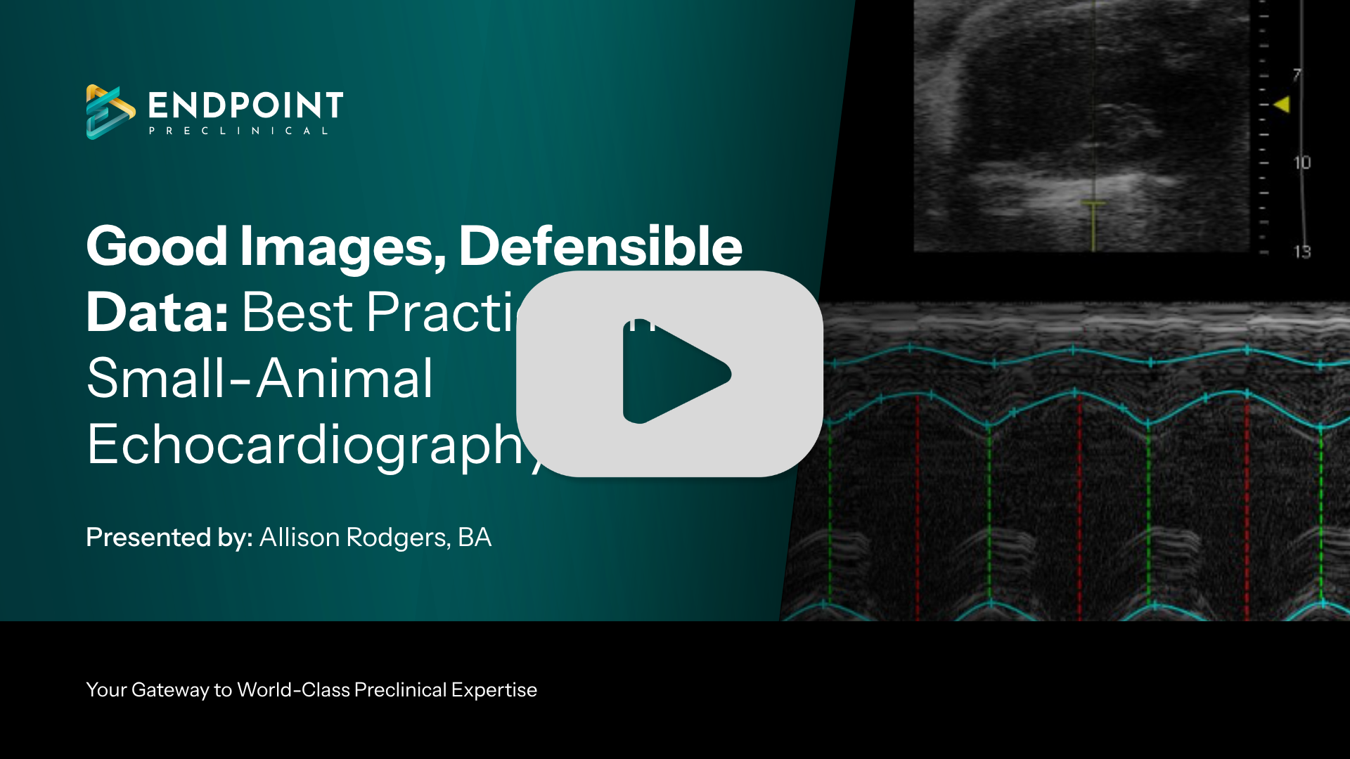 On demand Webinar - Good Images Defensible Data - Endpoint Preclinical