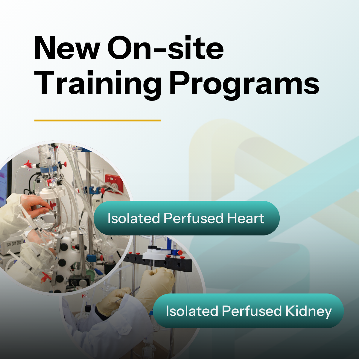 On-Site Heart Kidney Blog_F1