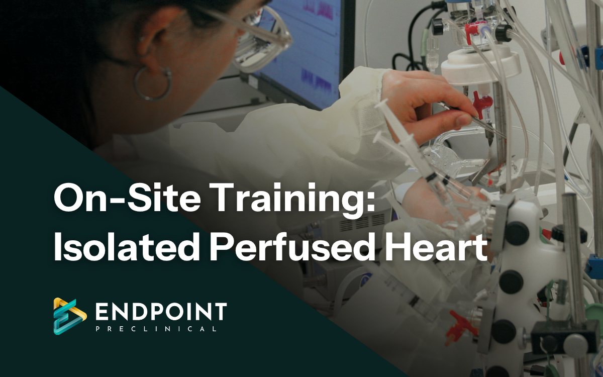 On Site Training Isolated Perfused Heart_F1
